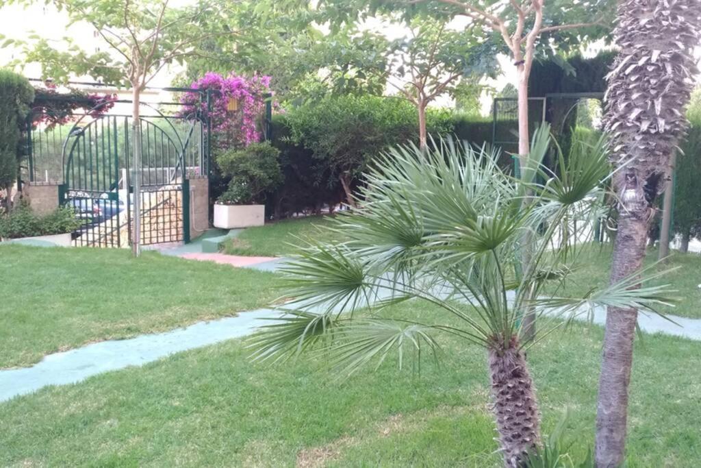 Apartamento Moderno Benidorm Extérieur photo